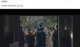 华人视频,展现多元文化魅力，传递情感共鸣