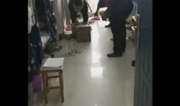 不穿衣服的视频,揭秘不穿衣服视频背后的故事