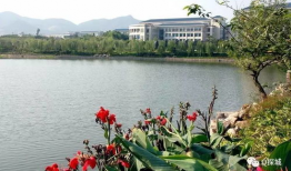 重庆周边搭帐篷,重庆周边露营探险之旅