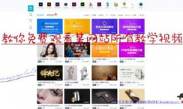 网页视频下载,高效便捷的下载攻略揭秘