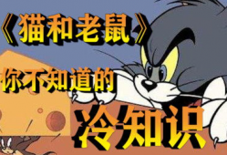 汤姆 视频,揭秘日常生活小技巧，轻松提升生活品质